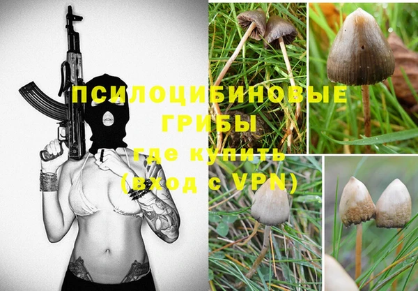 эйфоретик Мегион