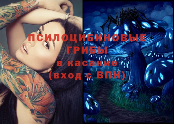 эйфоретик Мегион