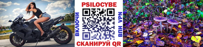 Псилоцибиновые грибы мицелий  дарнет шоп  Калуга 