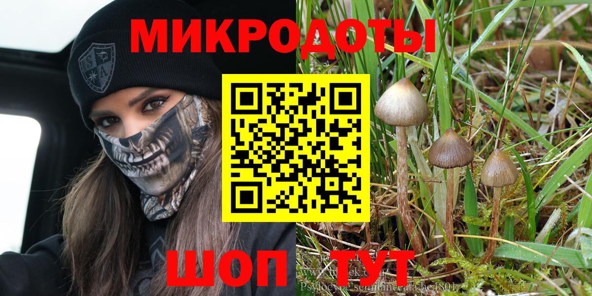 Галлюциногенные грибы ЛСД  Вход с VPN  Галлюциногенные грибы Magic Shrooms  Калуга 