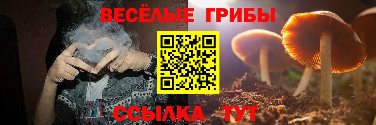 Псилоцибиновые грибы мицелий Калуга